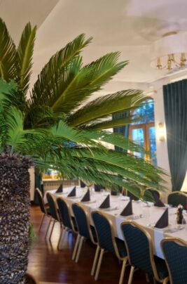 20250828_193332 20250828_193332